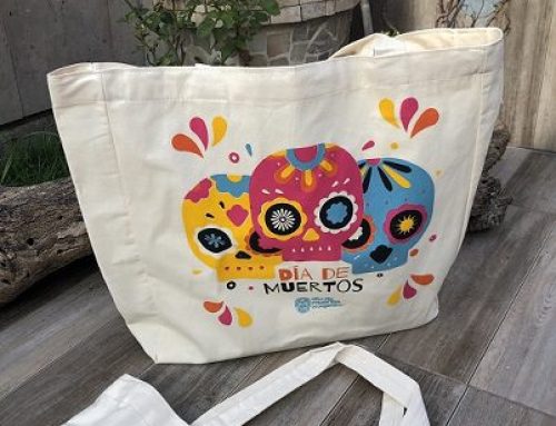 Bolsas de manta a 50 hilos 5 tintas en impresion Oaxaca Mexico