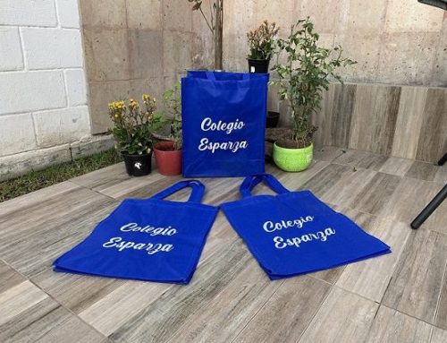Bolsas ecologicas azul rey colegio esparza con fuelle impresas