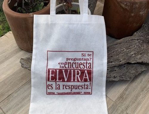 Bolsas ecologicas blancas impresas Morena Ixtacamaxtitlán Puebla