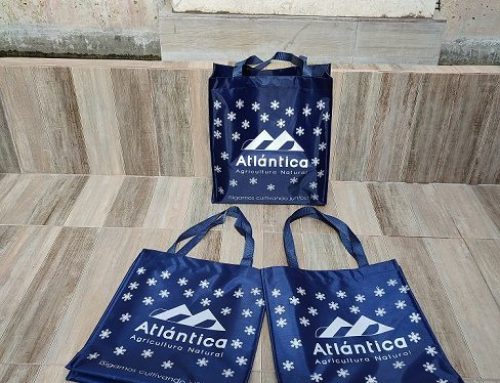 Bolsa de material canasta con fuelle y cintillo Veracruz