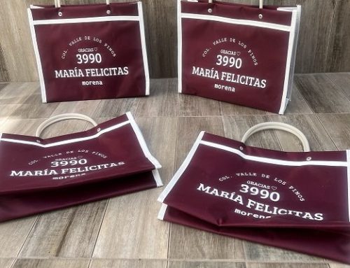 Bolsas mandaderas impresas 1 tinta Chalco Estado de Mex.