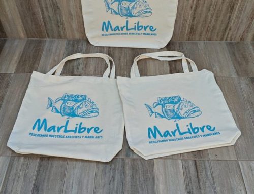 Bolsas de manta con fuelle impresas la Paz Baja California